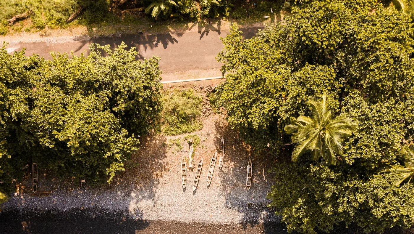 Rainforest reaching the shoreline on São Tomé and Príncipe