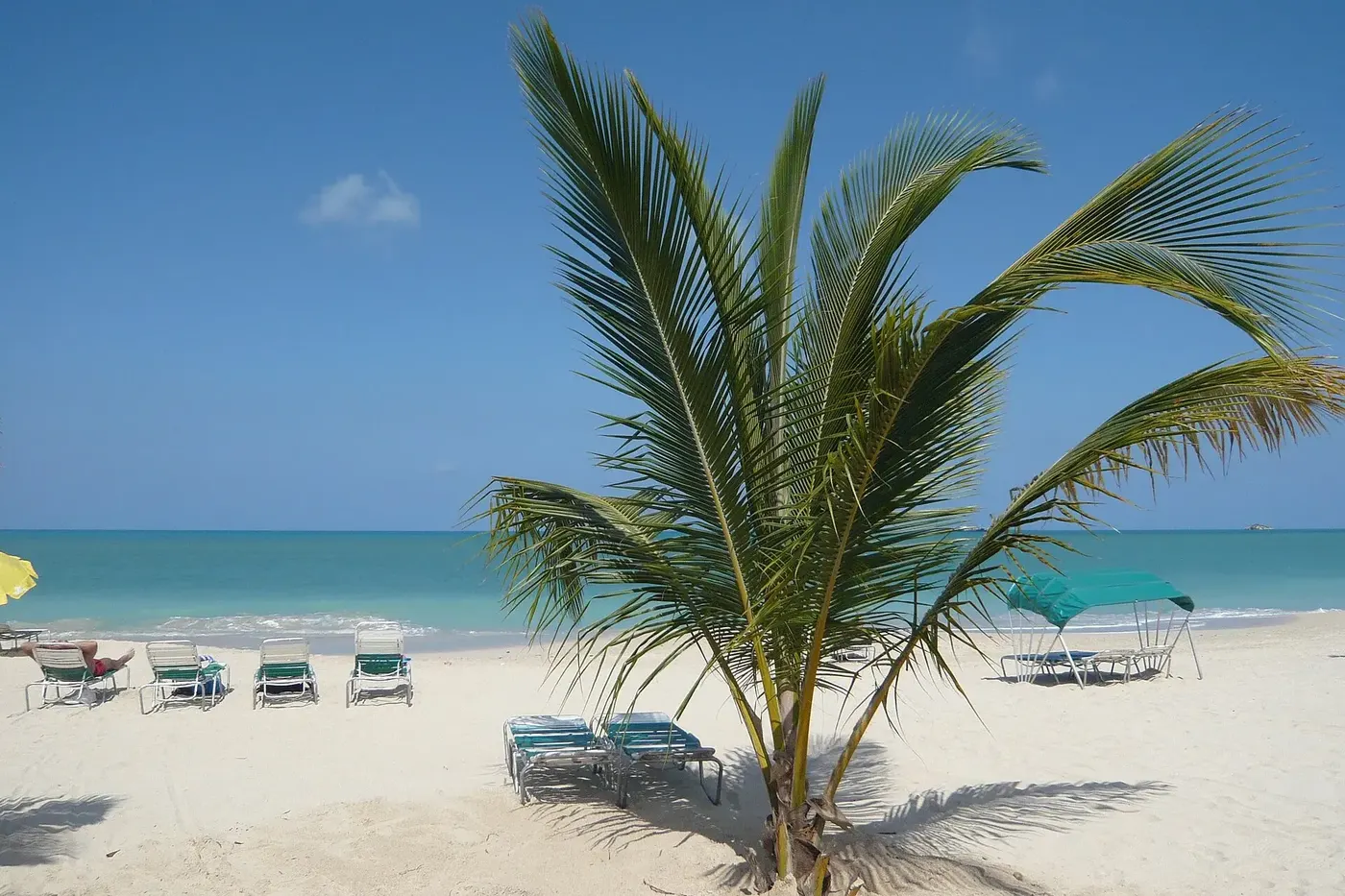 A palm tree and sun loungers on a white-sand beach in Antigua