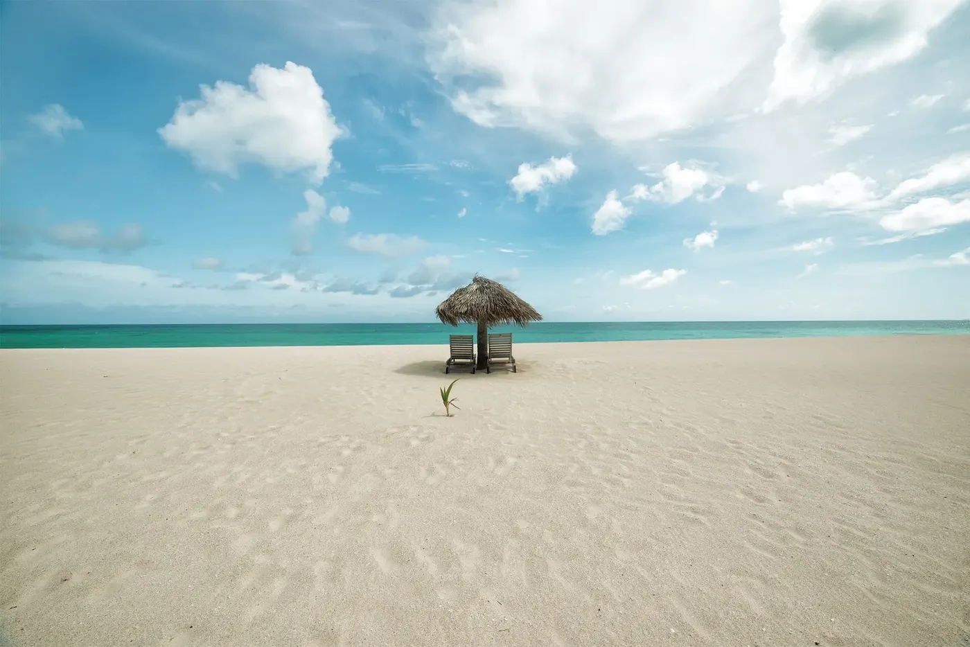 A wide, empty white-sand beach in Antigua and Barbuda
