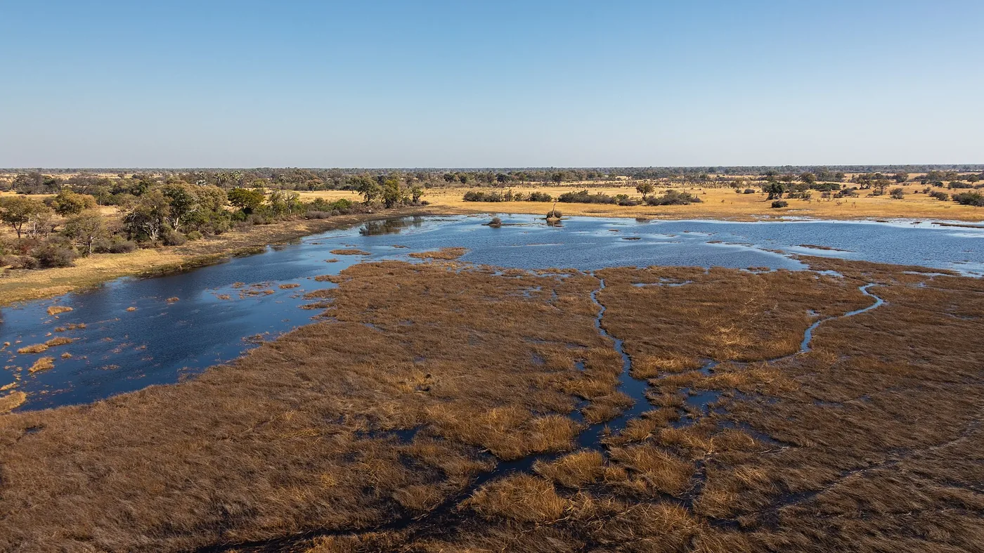 Aerial view of the waterways of the Okavango Delta, northern Botswana