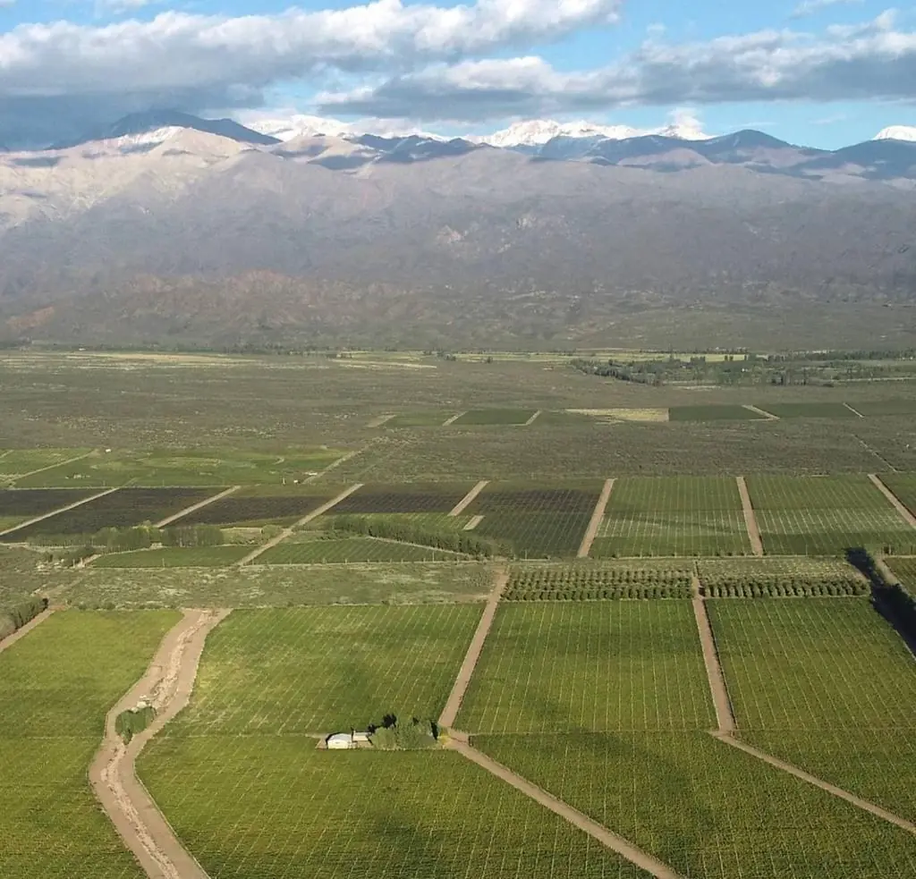 Finca Buenaventura — image 2
