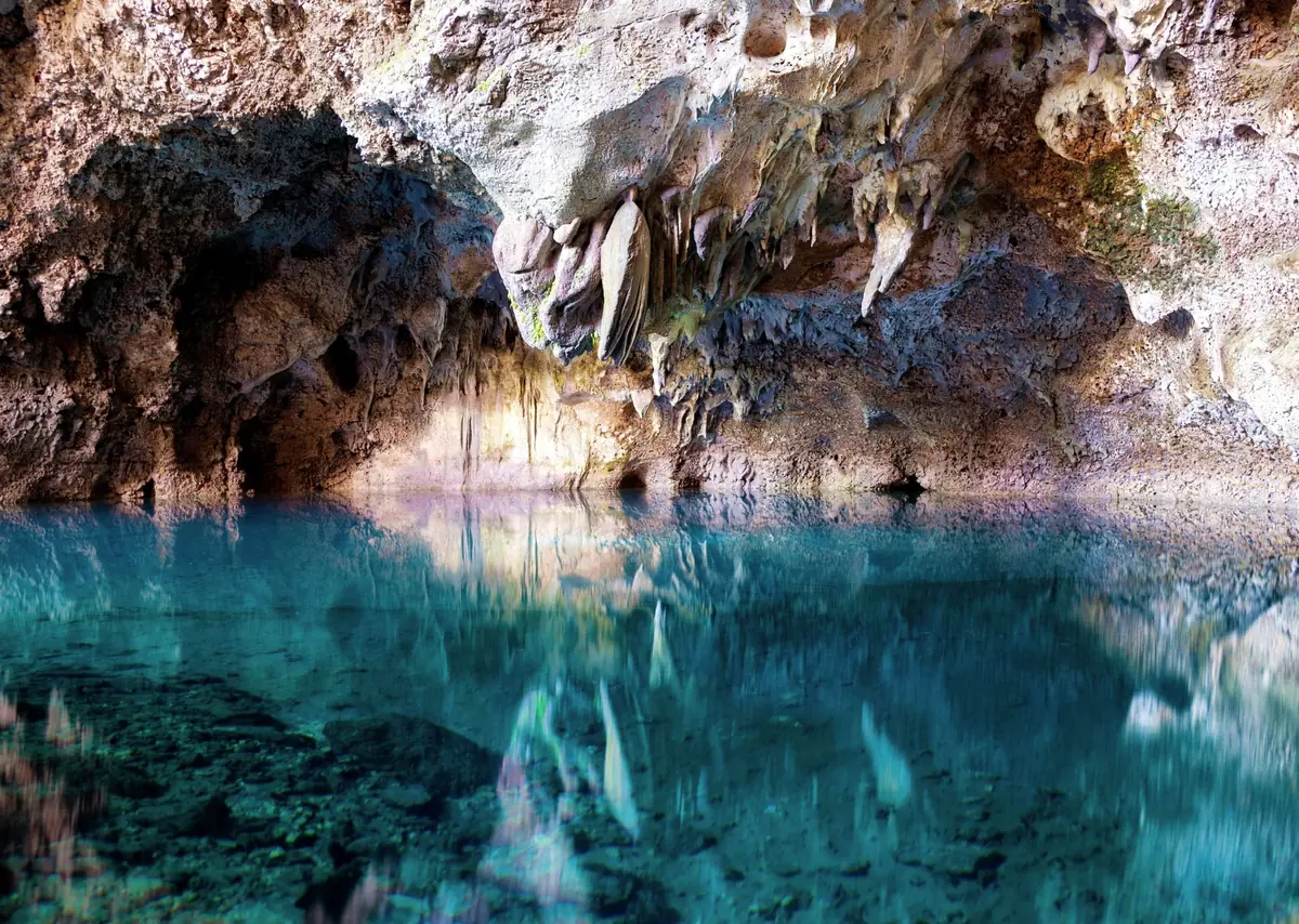 Coralia — image 3