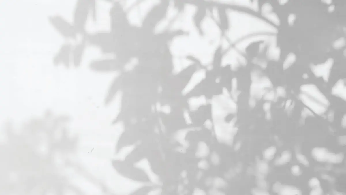 The Reef — image 4