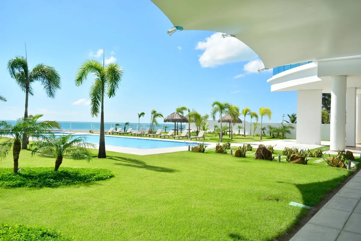 Royal Palm — image 2