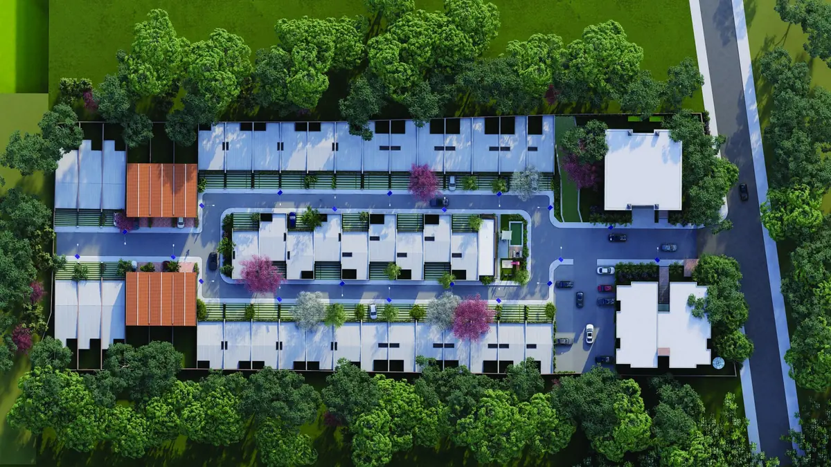 Yvyra — image 3