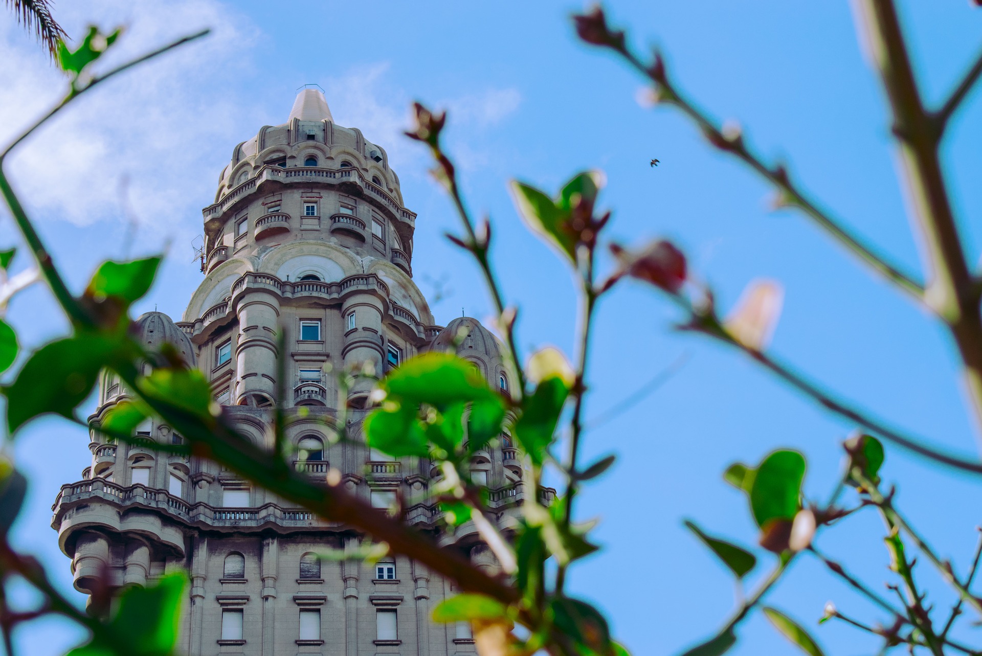 The Palacio Salvo rising over Plaza Independencia in Montevideo, framed by branches