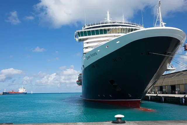 CARICOM Cruise Ship