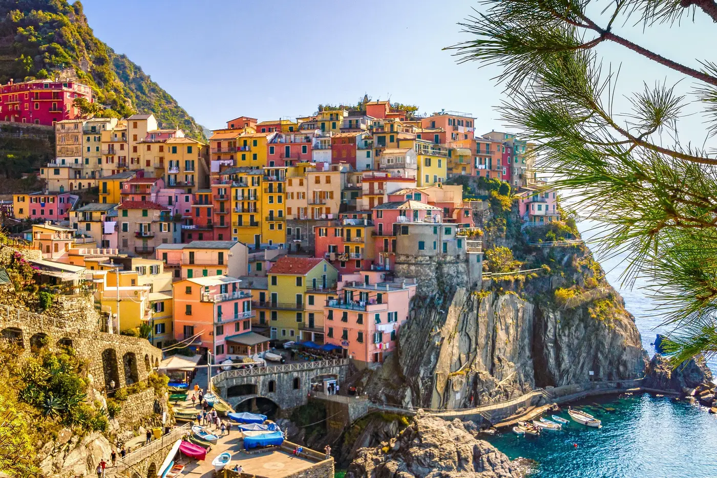 Italian Elective Visa