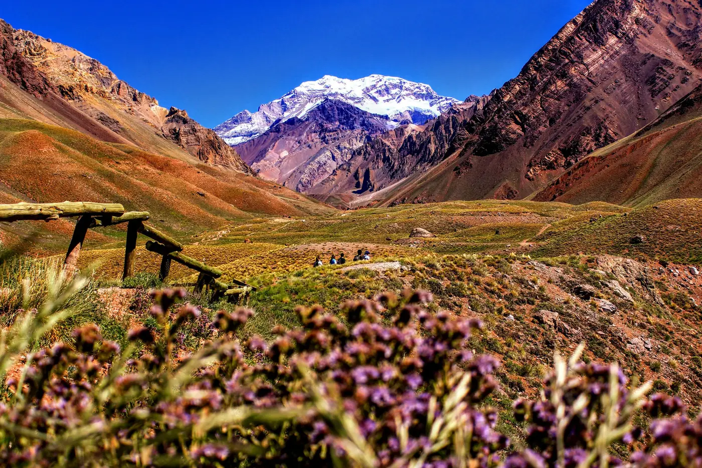 argentina digital nomad visa