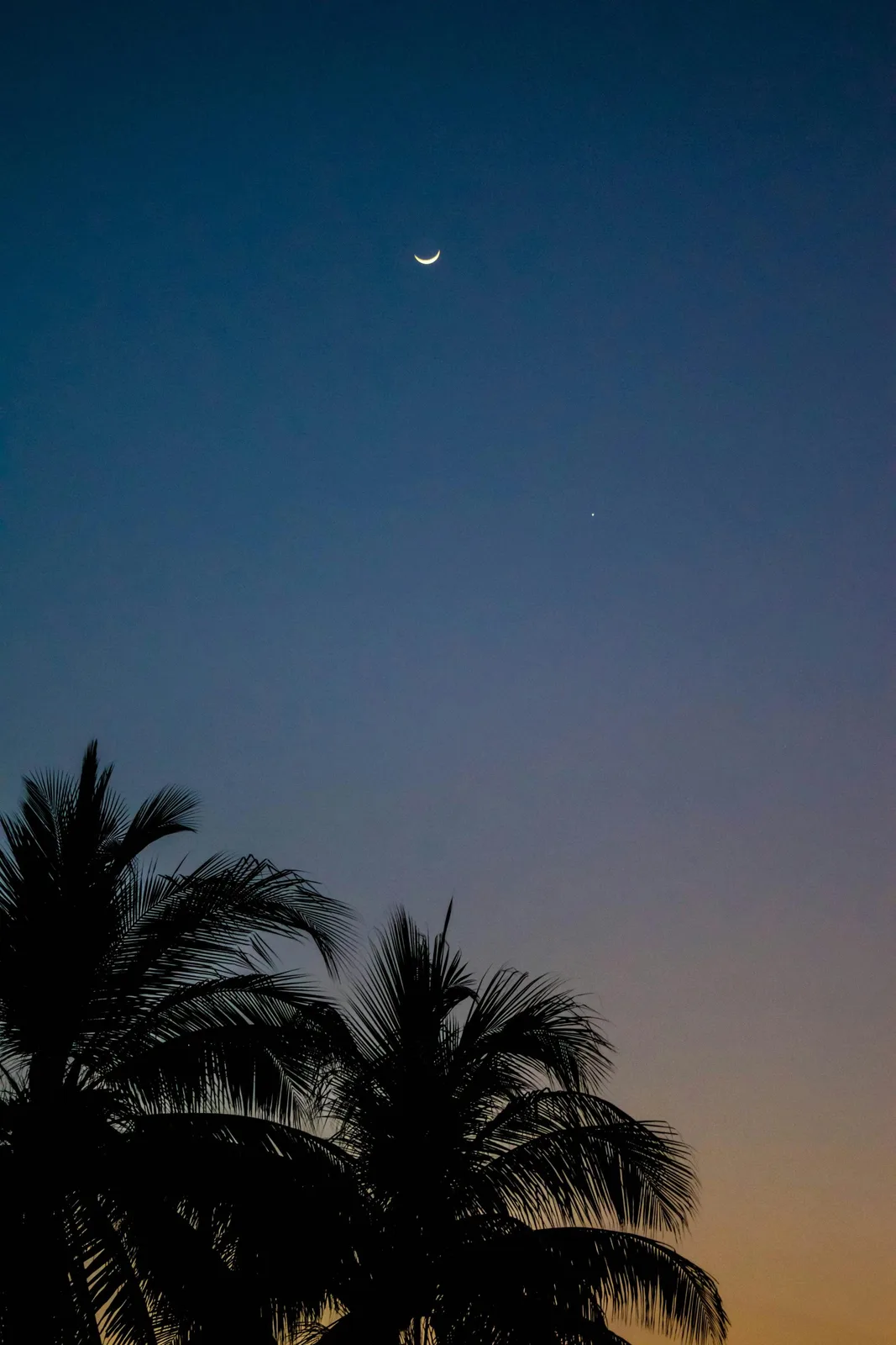 El Salvador Residency
