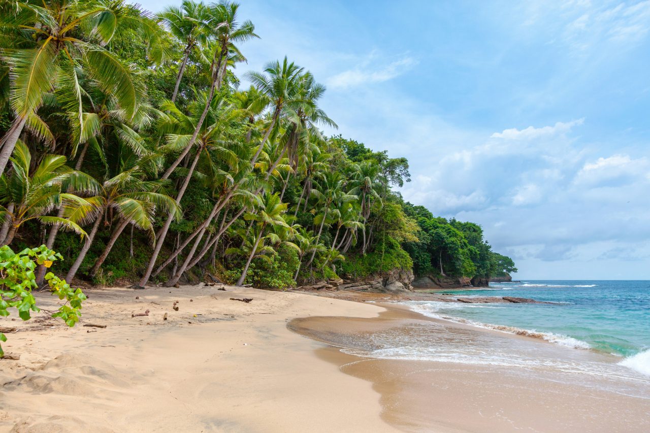 A palm-lined Caribbean beach on the Panamanian coast, backed by dense green hillside