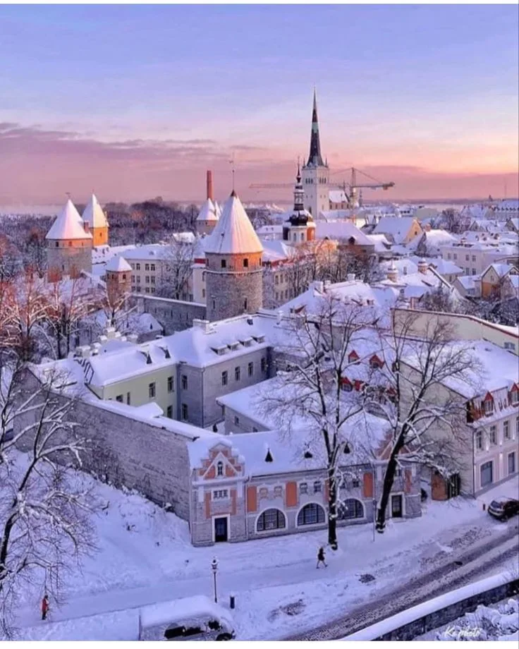 estonia temporary residency