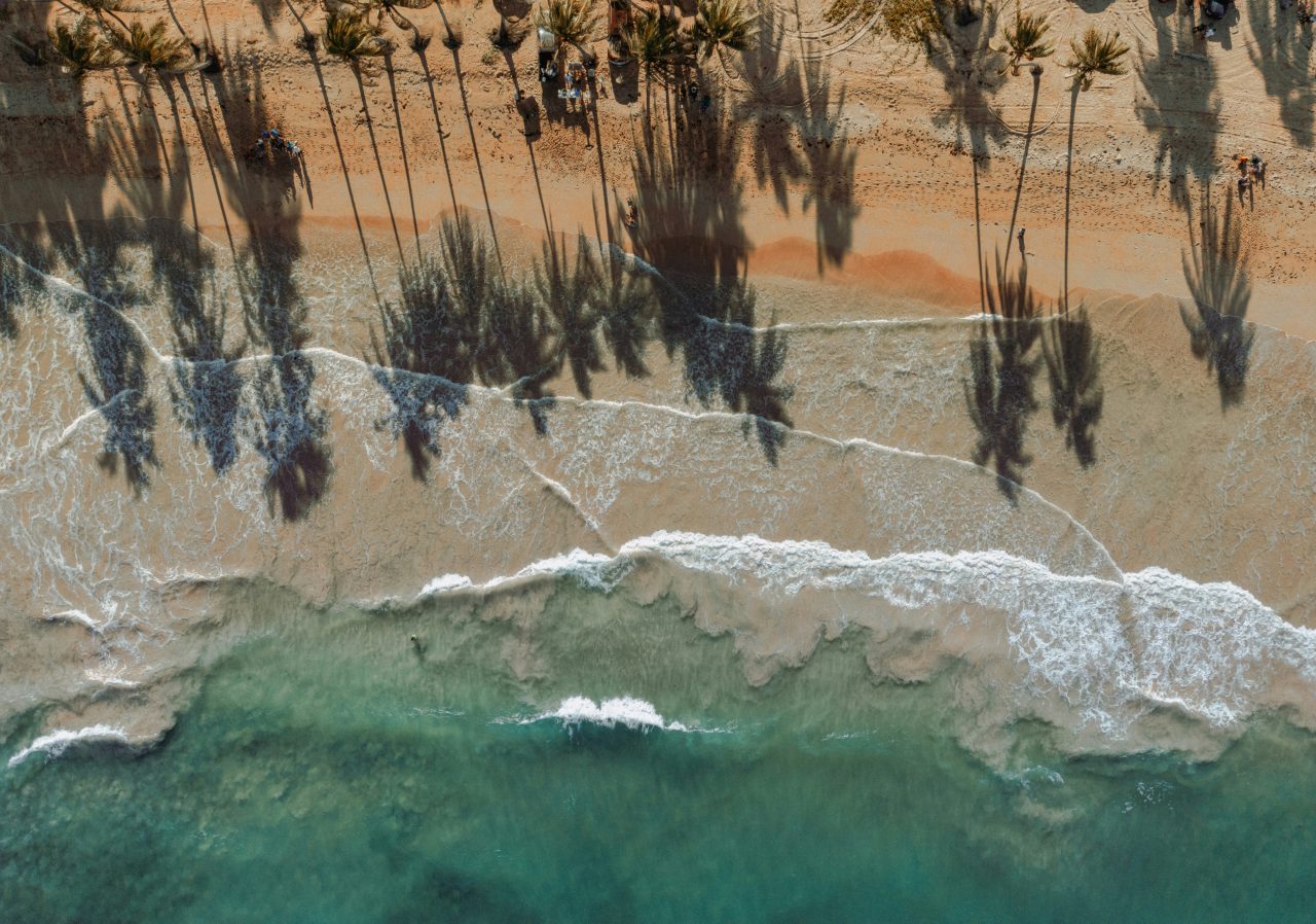 Aerial view of a palm-lined Dominican beach and turquoise water